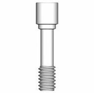 Vent Abutment Replacement Retaining Screw